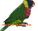 Parrot