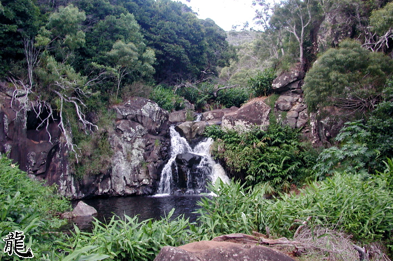 Jungle Falls