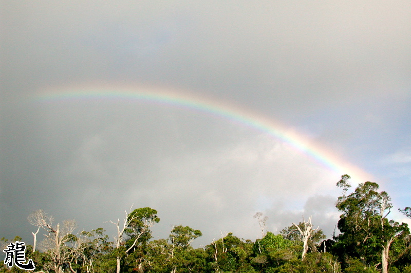 Rainbow