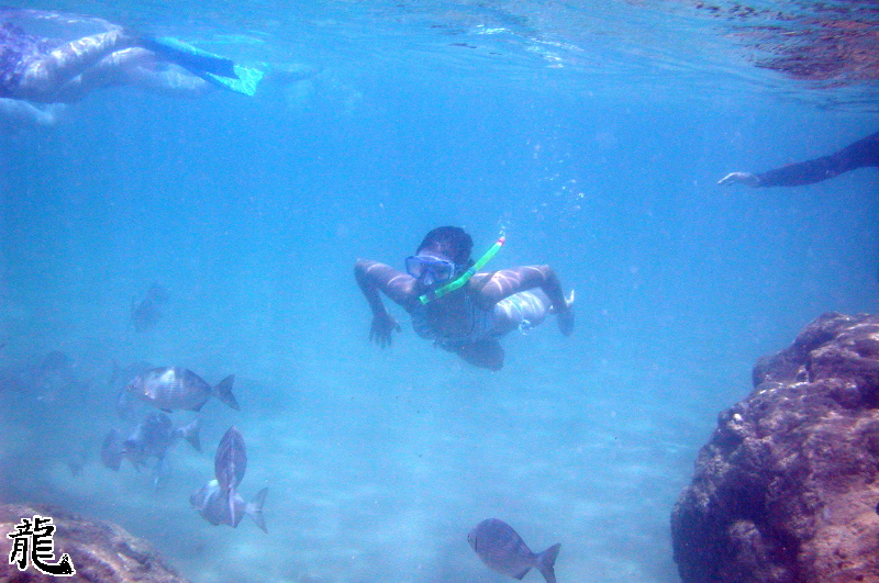 Snorkeler