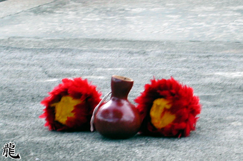 Dance Shakers