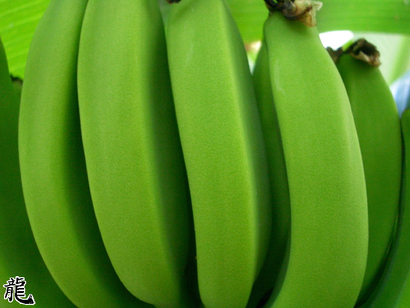 Banana