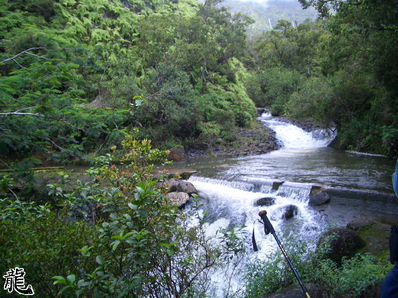 Jungle River