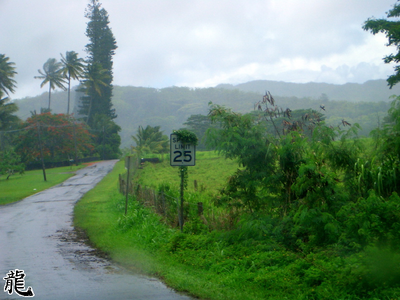 Hawaiian Road