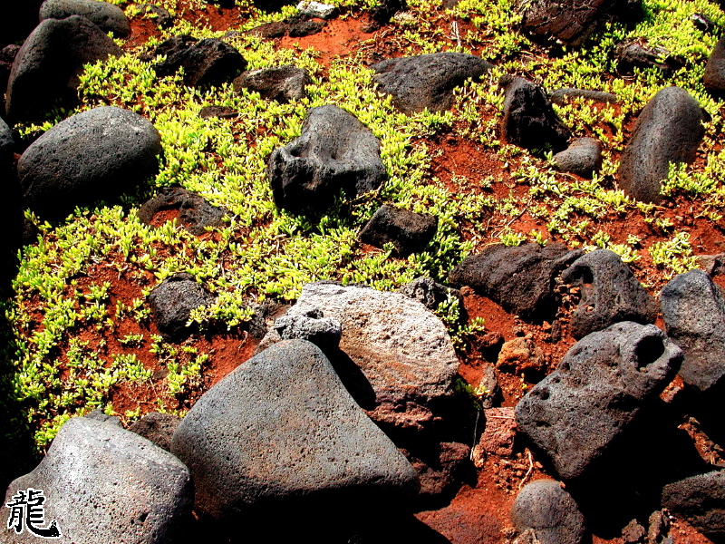 Red Earth