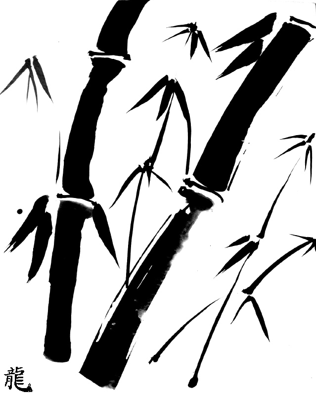 Bamboo