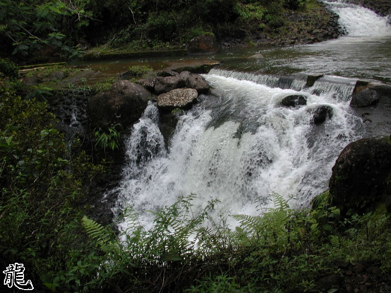 Forest Falls