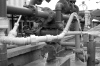 Leakey Pipes Fountian