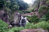 Jungle Falls