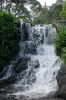 Falls