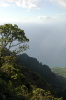 DSCN8650