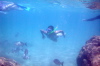 Snorkeler