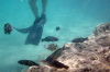 Swimmers Fins