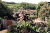Hawaiian Junk Yard