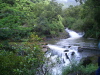 Jungle River