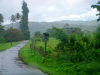 Hawaiian Road