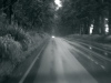 Driveing