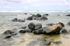 Lava Rocks
