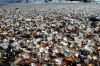 Glass Beach
