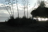 File2364
