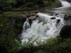 Forest Falls