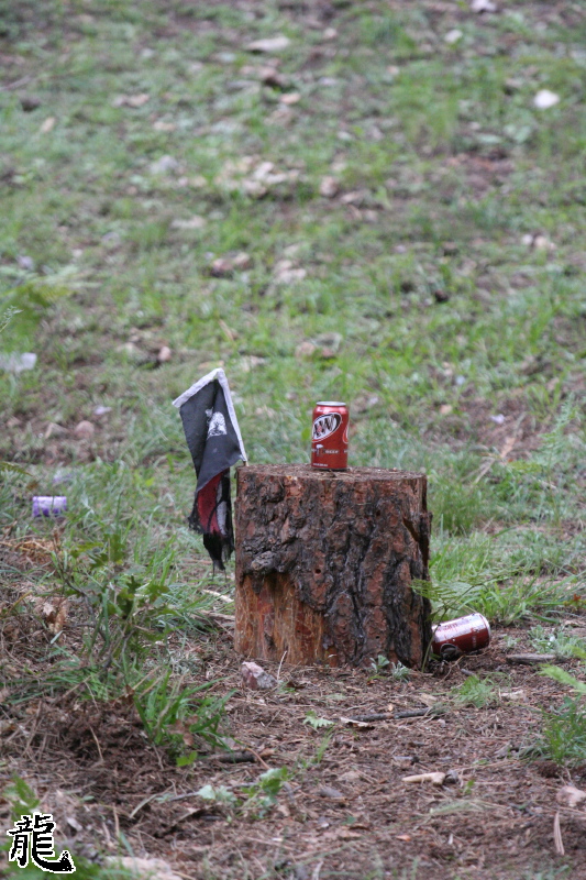 Exploding Can - 1