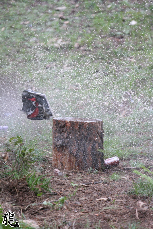Exploding Can - 2
