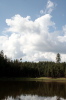 Potato Lake - 2
