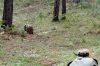 Me shooting the .22