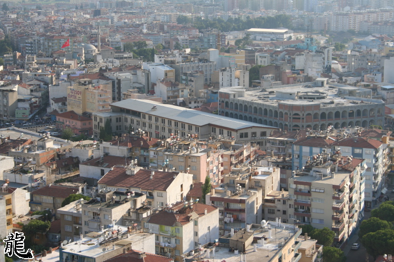 Eric Turkey - 591