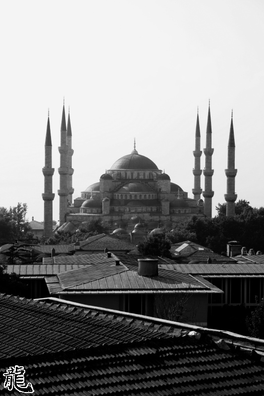 Eric Turkey - 38