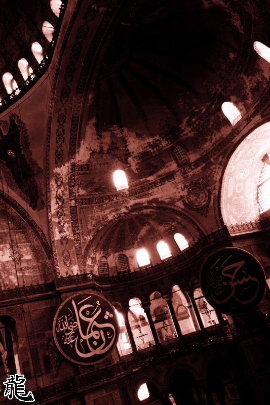 Eric Turkey - 65
