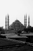 Eric Turkey - 38